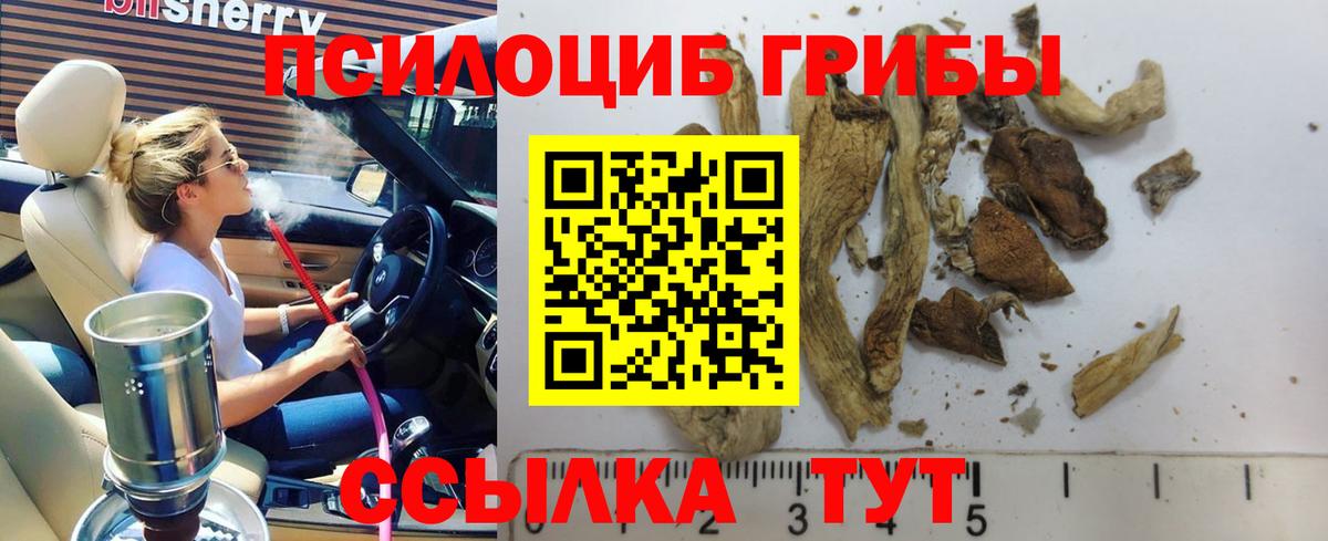 Псилоцибиновые грибы прущие грибы Дубна
